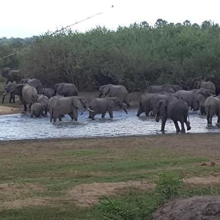 Africa Safari Camp Hotell Mloka Eksteriør bilde