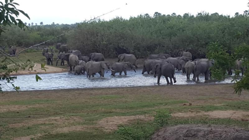 Africa Safari Camp Hotell Mloka Eksteriør bilde