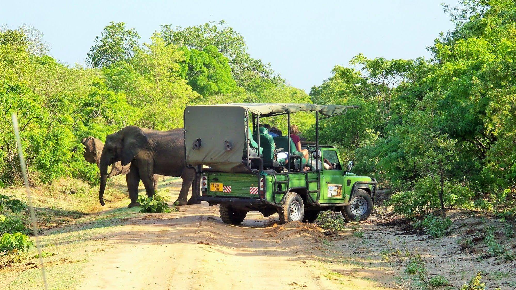 Africa Safari Camp Hotell Mloka Eksteriør bilde